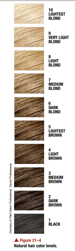 Hair Level Scale Chart Set Checking Hair Brightness for Hair Salon and Hairdresser